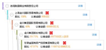 洛陽隴昌銅業有限責任公司 以品質與創新引領銅業發展